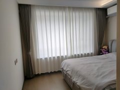 幔布风纱8202版本，小竖纹